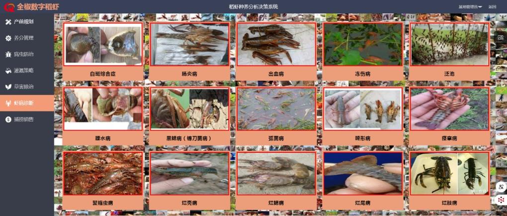 “乡土”焕新：AI如何催生农业生产变革？(图2)